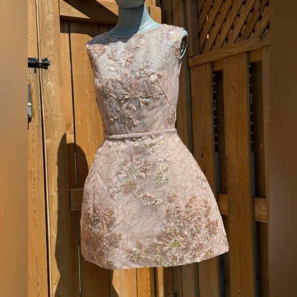 🆕 BRONX & BANCO 🧿 NWOT Violet Mini Dress, Gold & Champagne Sequin - Sz M US 6 - Picture 3 of 15